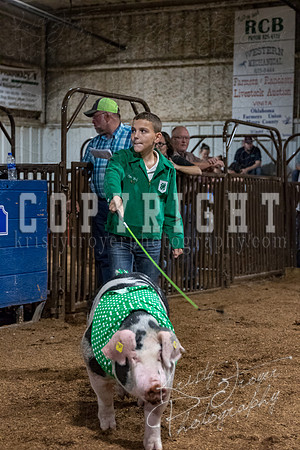 mayes_county_fair_premium_sale_2545