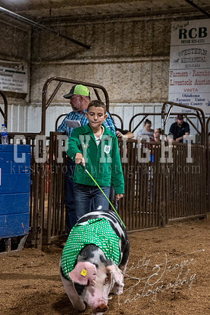 mayes_county_fair_premium_sale_2544