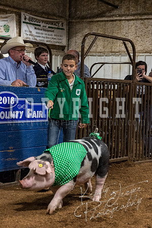 mayes_county_fair_premium_sale_2546