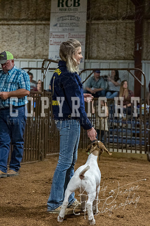 mayes_county_fair_premium_sale_2547