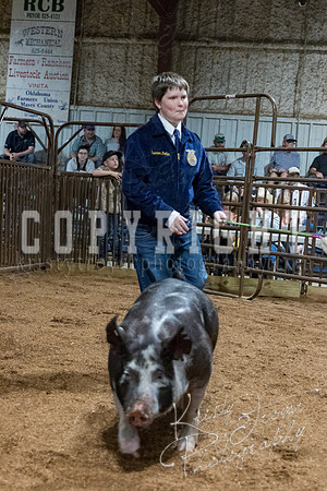 mayes_county_fair_premium_sale_2549