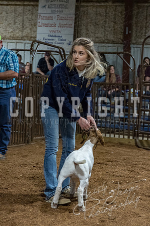 mayes_county_fair_premium_sale_2548