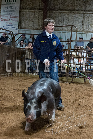 mayes_county_fair_premium_sale_2550
