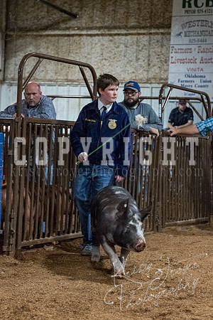 mayes_county_fair_premium_sale_2551