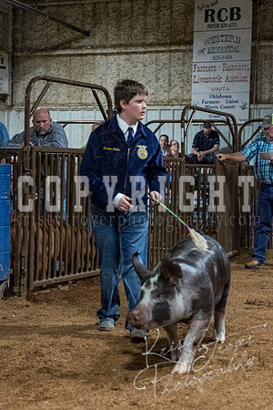 mayes_county_fair_premium_sale_2552