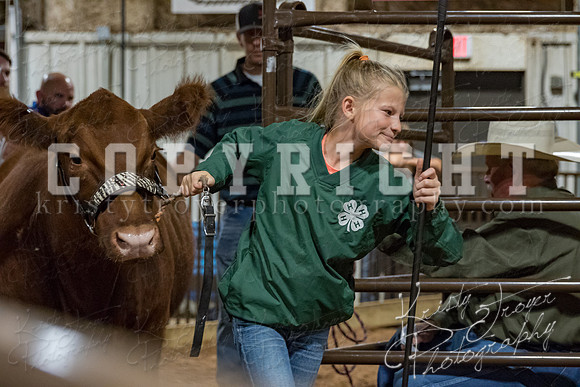 mayes_county_fair_premium_sale_2553