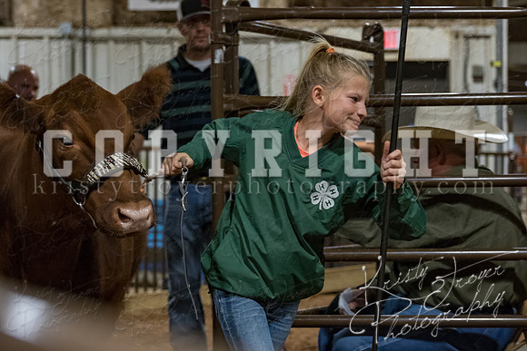 mayes_county_fair_premium_sale_2554