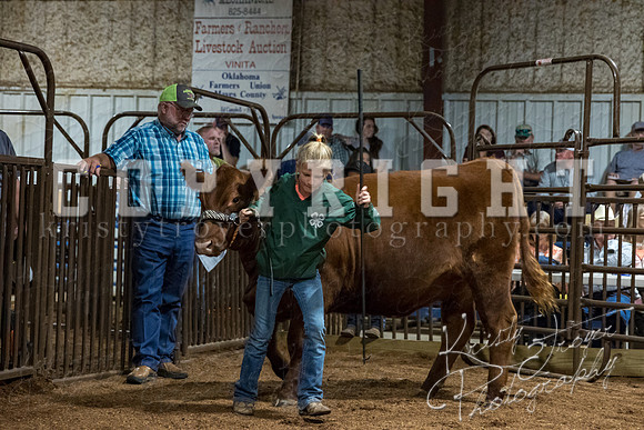 mayes_county_fair_premium_sale_2555