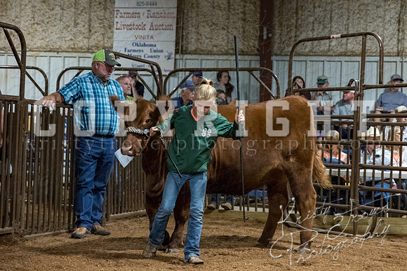 mayes_county_fair_premium_sale_2556