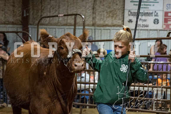 mayes_county_fair_premium_sale_2557