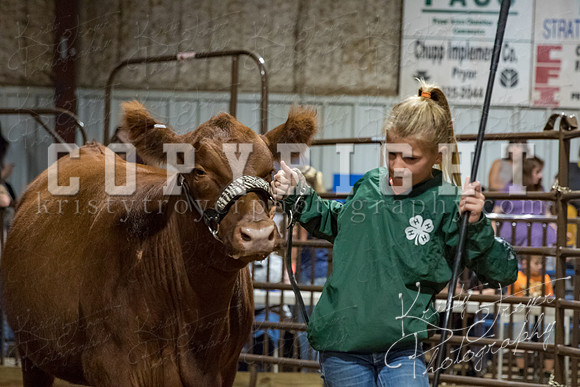 mayes_county_fair_premium_sale_2558
