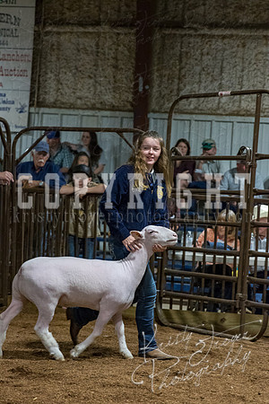 mayes_county_fair_premium_sale_2559