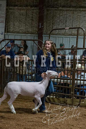 mayes_county_fair_premium_sale_2560