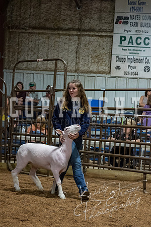 mayes_county_fair_premium_sale_2561
