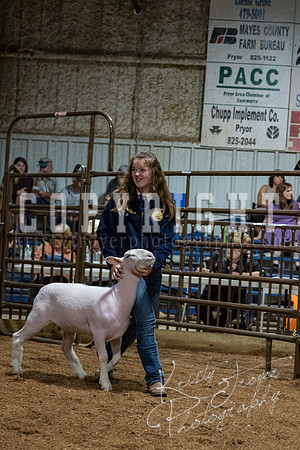 mayes_county_fair_premium_sale_2562