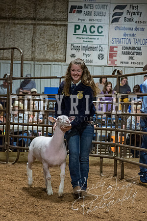 mayes_county_fair_premium_sale_2563