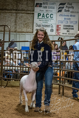 mayes_county_fair_premium_sale_2564