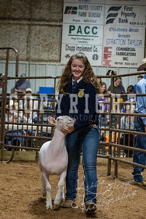 mayes_county_fair_premium_sale_2565