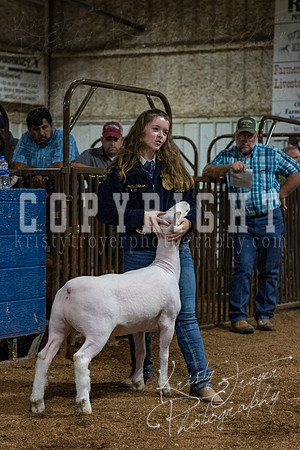 mayes_county_fair_premium_sale_2566