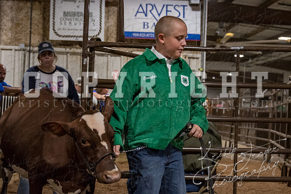 mayes_county_fair_premium_sale_2567
