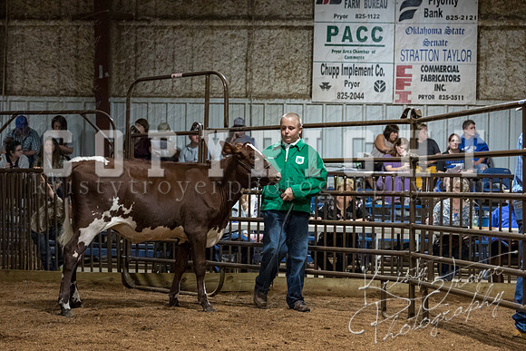 mayes_county_fair_premium_sale_2569