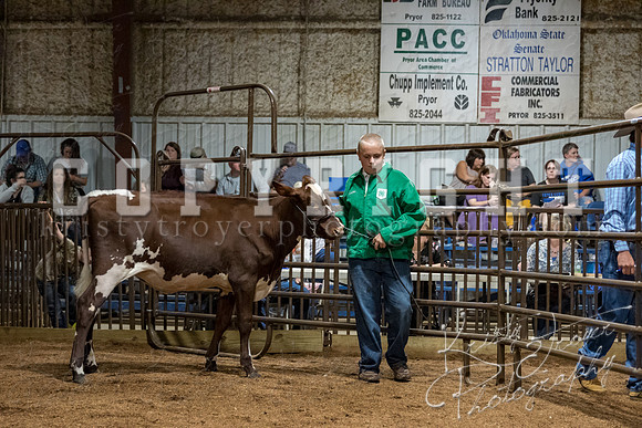 mayes_county_fair_premium_sale_2570
