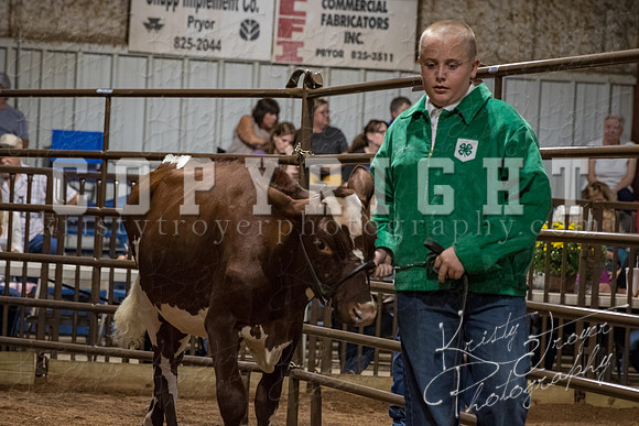mayes_county_fair_premium_sale_2571