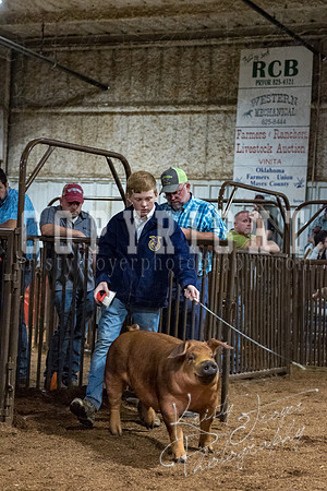 mayes_county_fair_premium_sale_2572