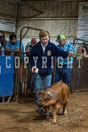 mayes_county_fair_premium_sale_2573