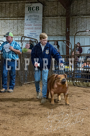 mayes_county_fair_premium_sale_2574
