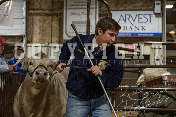 mayes_county_fair_premium_sale_2575