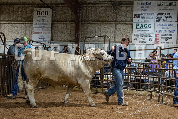 mayes_county_fair_premium_sale_2576