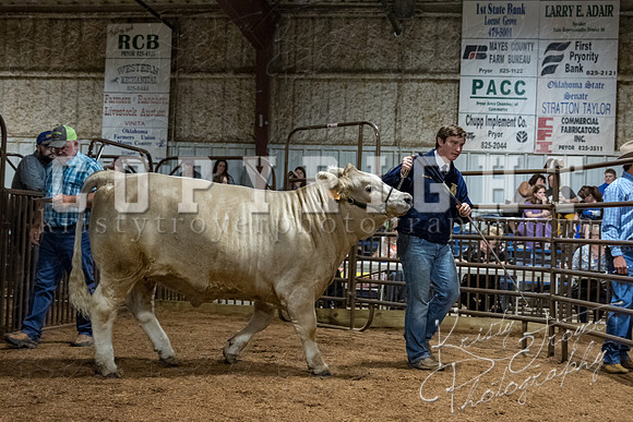 mayes_county_fair_premium_sale_2577