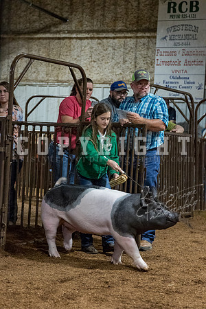 mayes_county_fair_premium_sale_2579