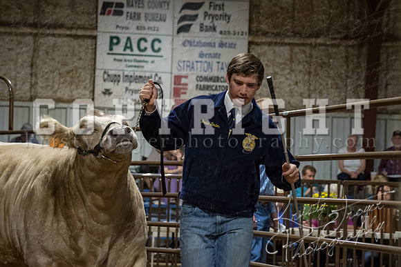 mayes_county_fair_premium_sale_2578