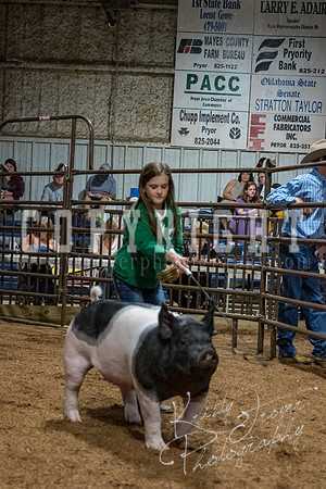 mayes_county_fair_premium_sale_2580