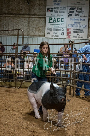 mayes_county_fair_premium_sale_2581