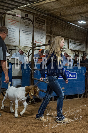 mayes_county_fair_premium_sale_2582