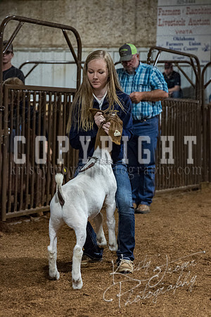 mayes_county_fair_premium_sale_2583
