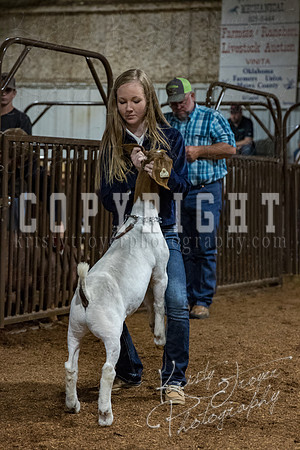 mayes_county_fair_premium_sale_2584