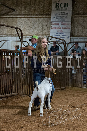 mayes_county_fair_premium_sale_2585
