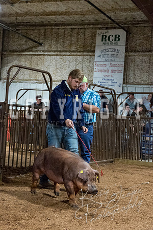 mayes_county_fair_premium_sale_2586