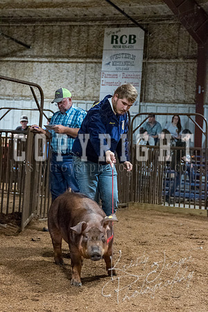 mayes_county_fair_premium_sale_2587
