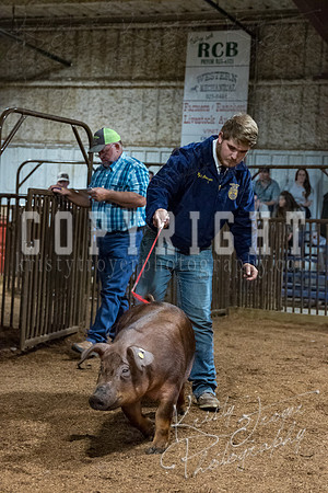 mayes_county_fair_premium_sale_2588