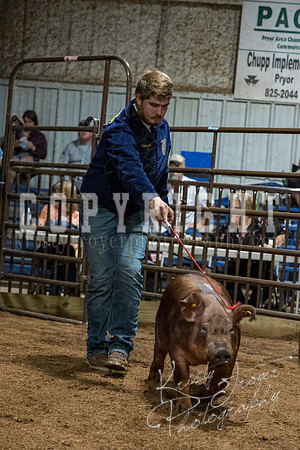 mayes_county_fair_premium_sale_2589