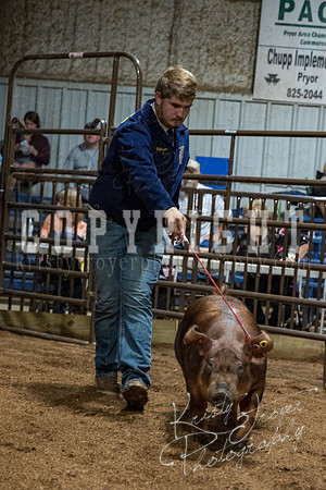 mayes_county_fair_premium_sale_2590