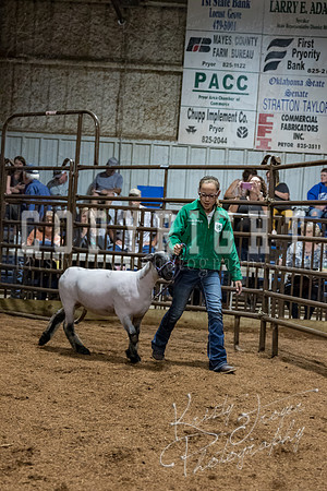 mayes_county_fair_premium_sale_2591