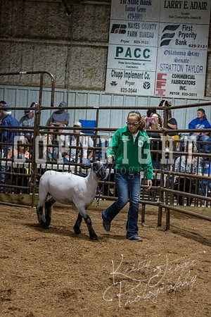 mayes_county_fair_premium_sale_2592