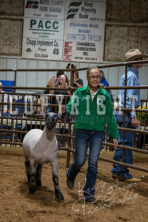 mayes_county_fair_premium_sale_2593