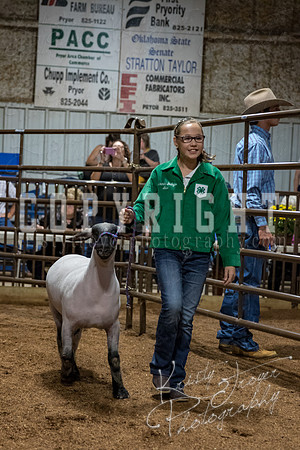 mayes_county_fair_premium_sale_2594